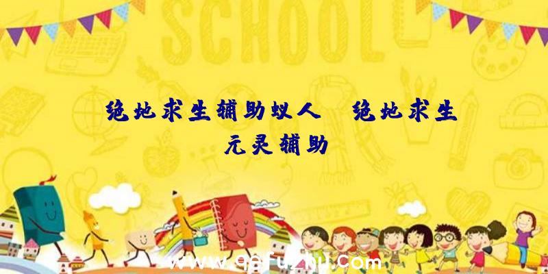 「绝地求生辅助蚁人」|绝地求生元灵辅助
